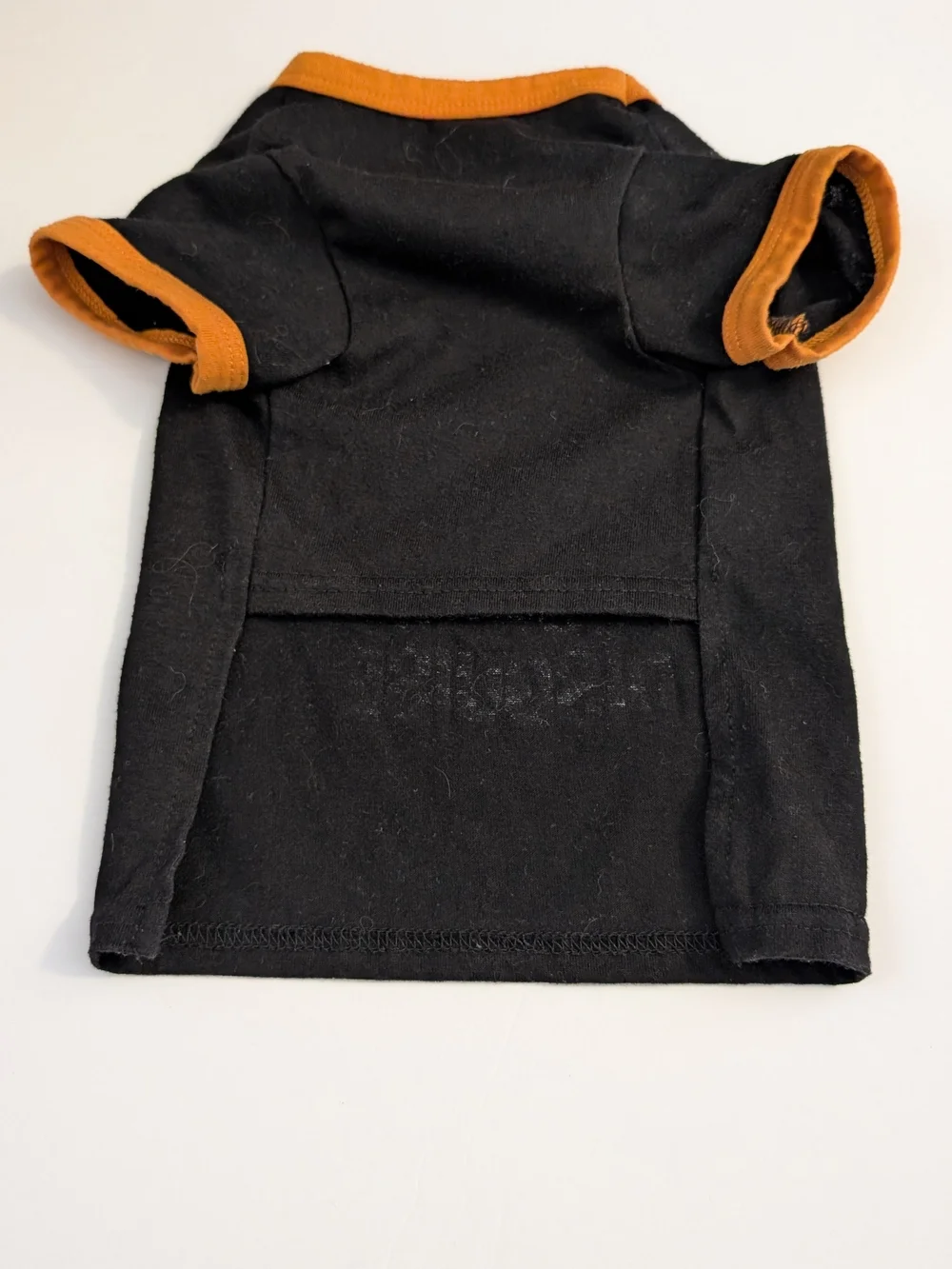 Black & Orange Pet Tee with Cat Graphic